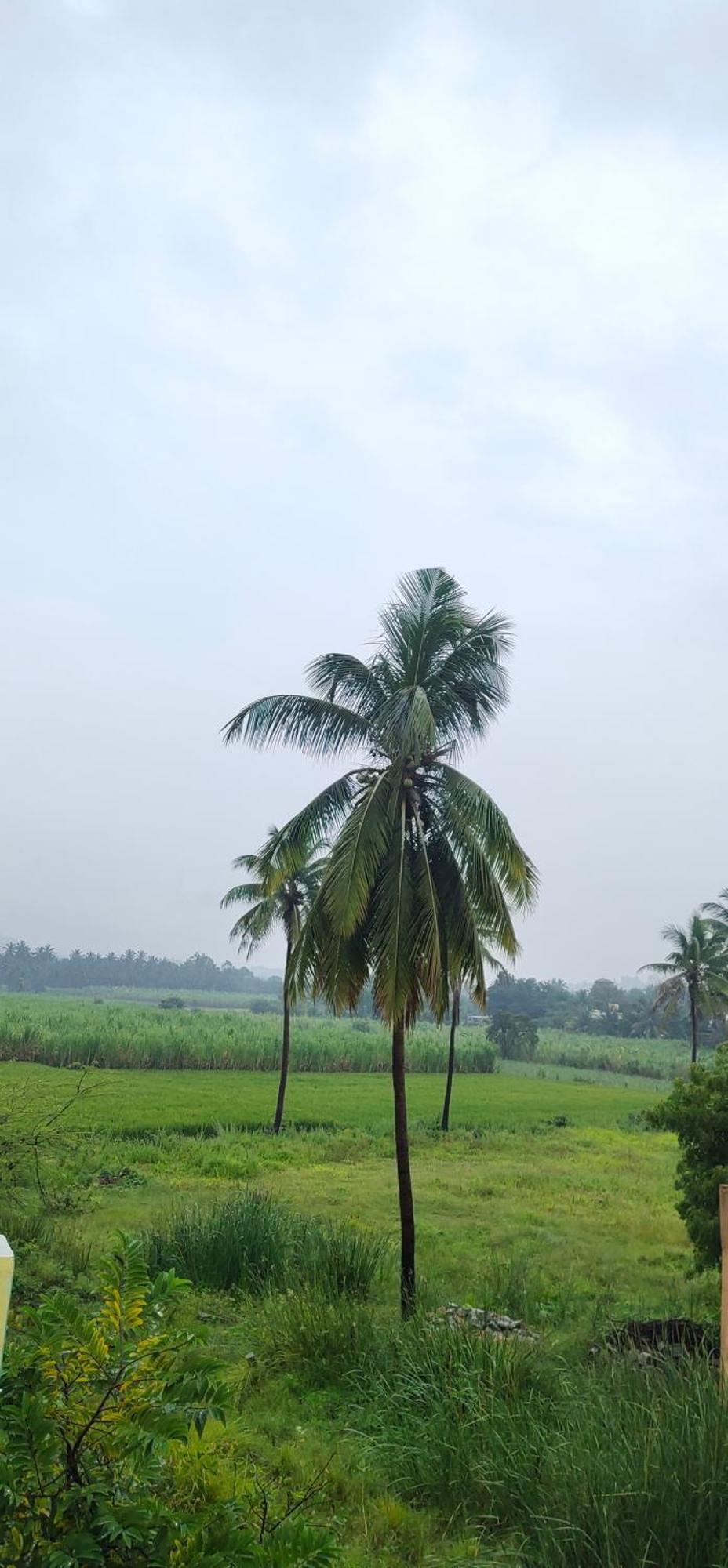 Raj Homestay هامبي المظهر الخارجي الصورة